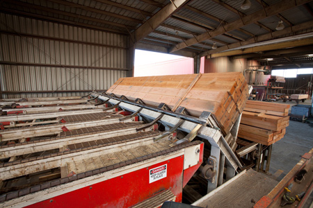 State of the art lumber mill