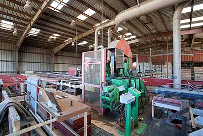 Timber and beam mill
