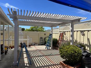 Image for Perfect Pergola